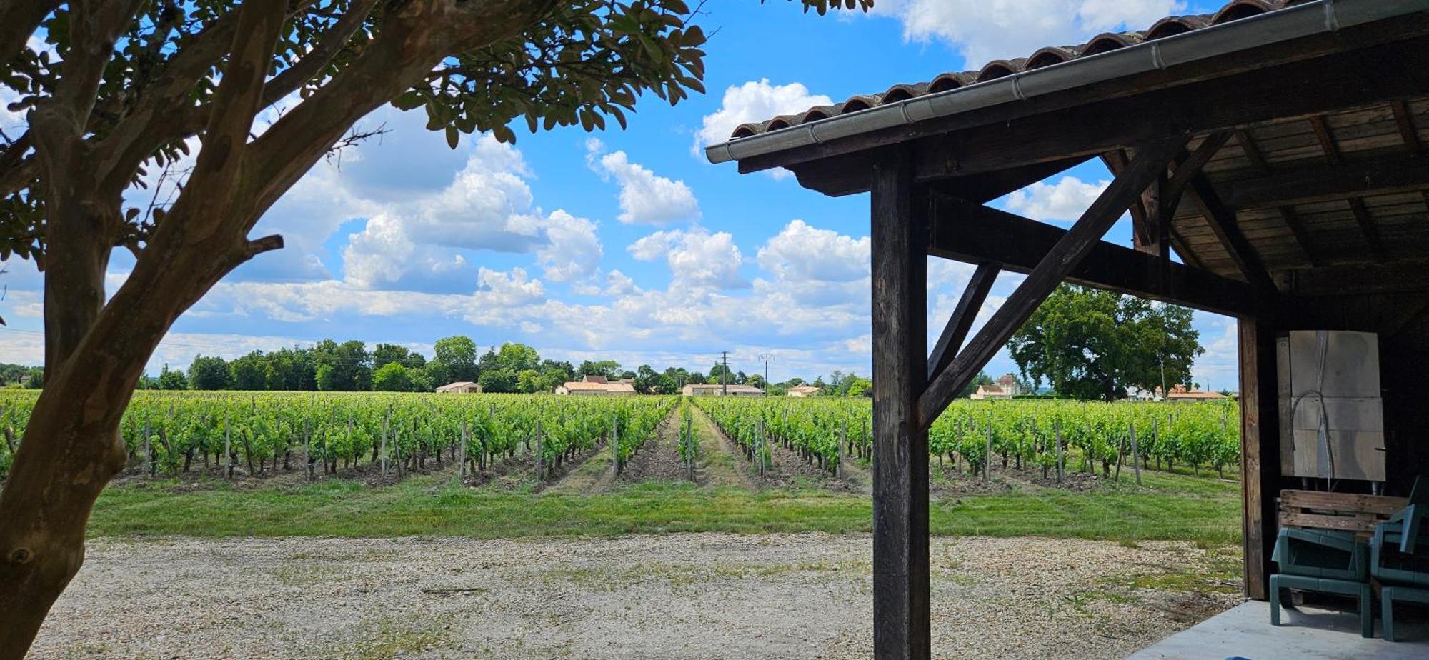 Gite Chateau Touzinat - Saint-Émilion المظهر الخارجي الصورة