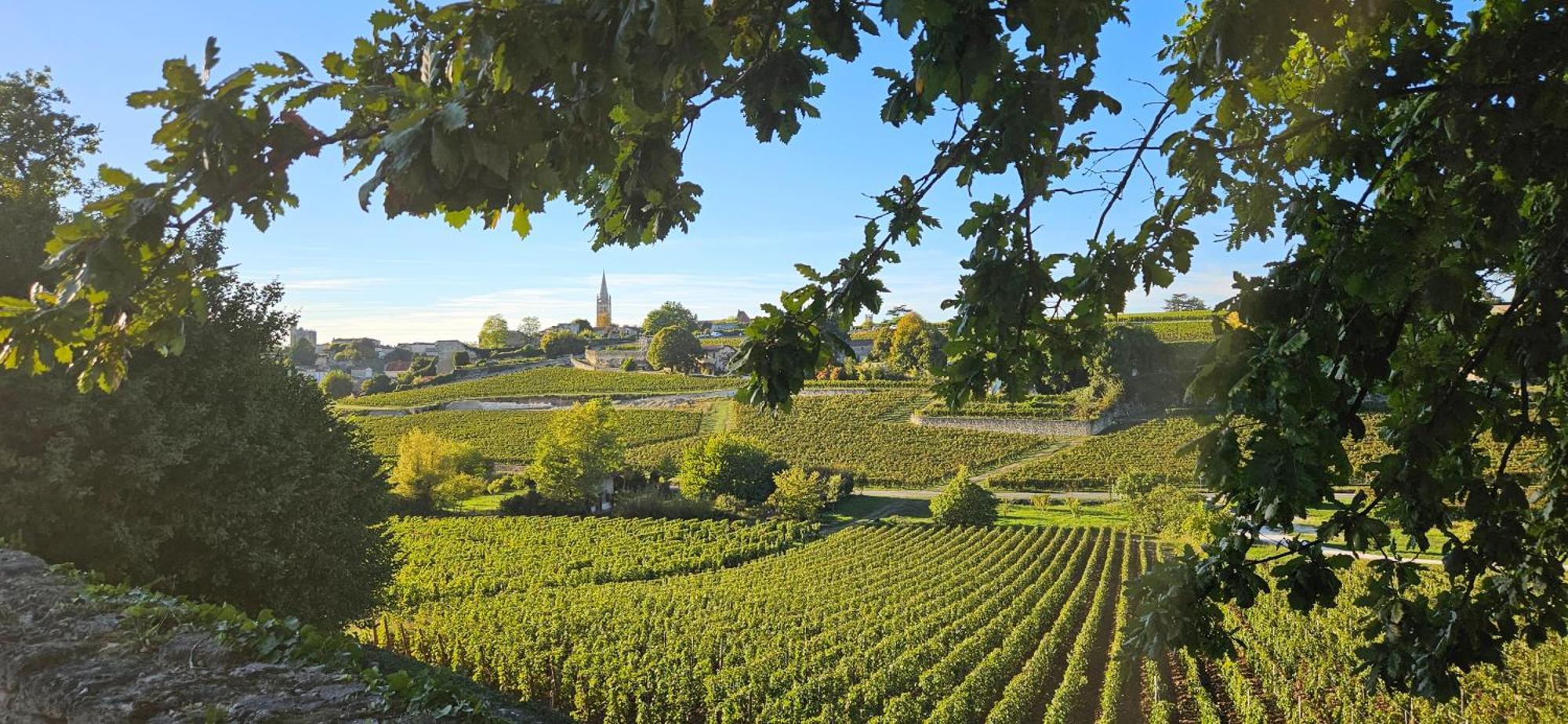 Gite Chateau Touzinat - Saint-Émilion المظهر الخارجي الصورة